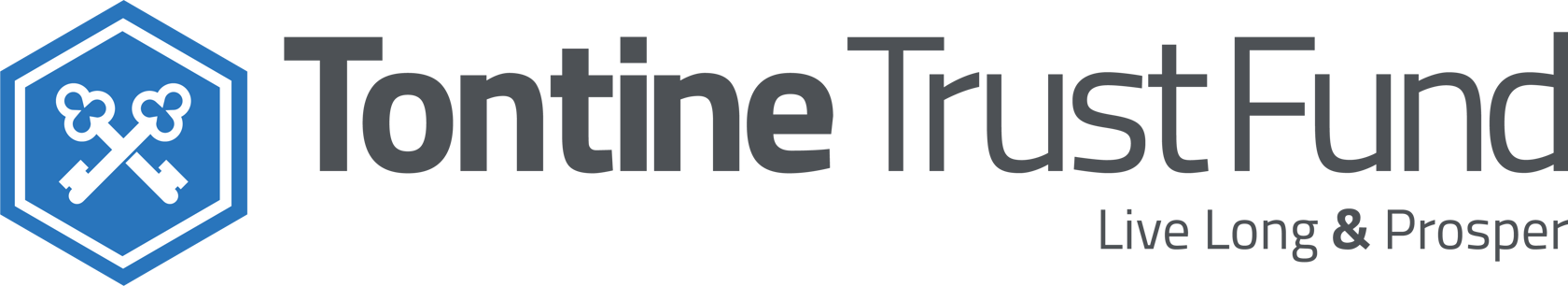 TontineTrustFund blue and gray logo on a transparent background