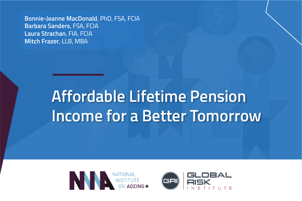 NIA GRI blogpost cover image